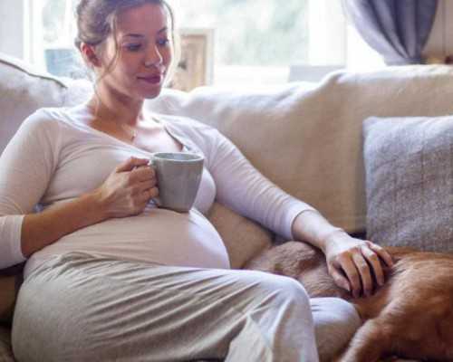 广州本地供卵医院,南京做试管多少钱啊?试管婴儿价位是多少?_做b超检查男孩