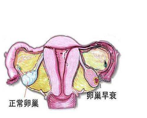 广州哪里做代孕最便宜,广州供卵代生机构,广州捐卵机构