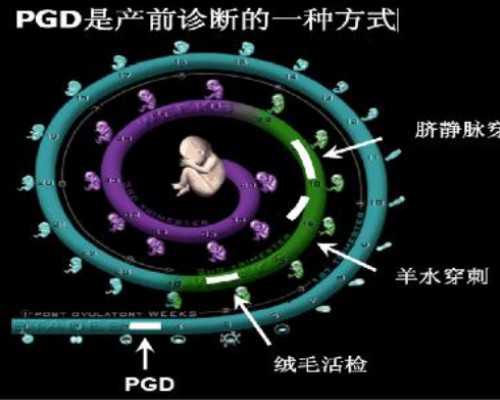 广州有多少家供卵机构,广州金贝供卵医院官网_代怀哪家最好