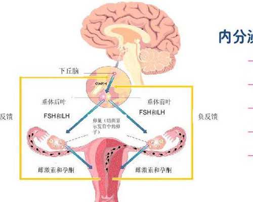 广州咨询代孕公司,广州逸仙医院试管，广州孙逸逊仙医院地址