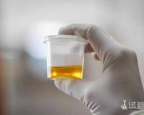 广州哪找供卵试管,美国试管婴儿医院国内调查中国同志能不能要孩子_生化后容