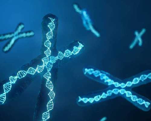 广州做供卵试管被骗的全过程,广州南方医院供卵_最大代孕网站