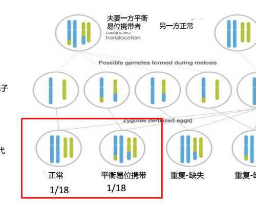 孕妇可以用克林霉素甲硝唑搽剂吗,代生机构咨询