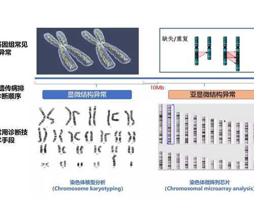 广州代孕套餐价格,试管婴儿并非万能不孕夫妻应慎重选择_受孕成功反应要多长