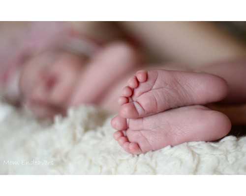广州帮别人助孕多少钱一个月 广州宝宝上户口 ‘看nt图看男女准吗’