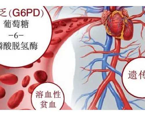 广州供卵医院地址(广州供卵医院知名十月幸孕助孕)-正规代怀网