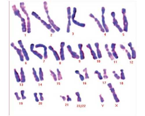 2026广州做供卵三代试管能包生男孩吗?,广州试管最好供卵医院(广州供卵生殖