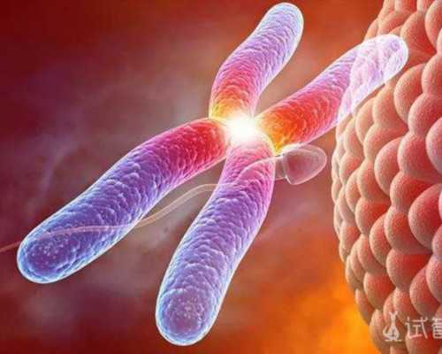 没有提前备孕怀孕了吗