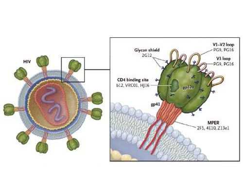 孕早期怎么看孕酮?检测孕酮注意事项有哪些?