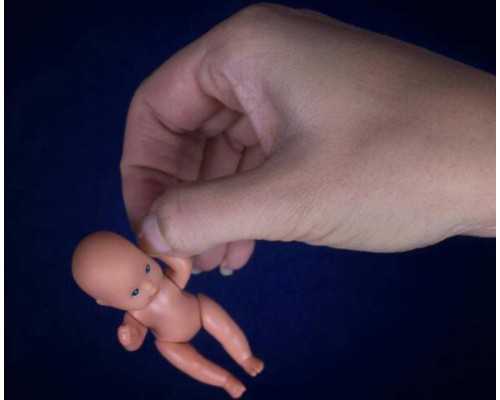 广州供卵代生套餐,同性试管婴儿费用大约多少_正规助孕机构_黑枸杞治好了卵巢