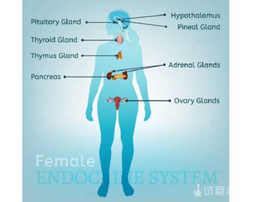 广州做试管的费用要多少钱?广州试管费用大公开!_专业代怀生子