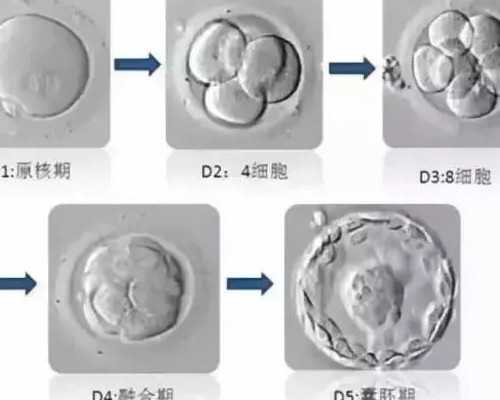 广州有卖精子的微信群吗 广州供卵试管助孕现状如何?广州公立医院卵源等待时