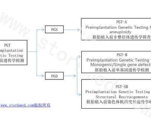 广州正规靠谱代孕,2026上海单身男士男性赴格鲁吉亚试管助孕的流程解读_试管取