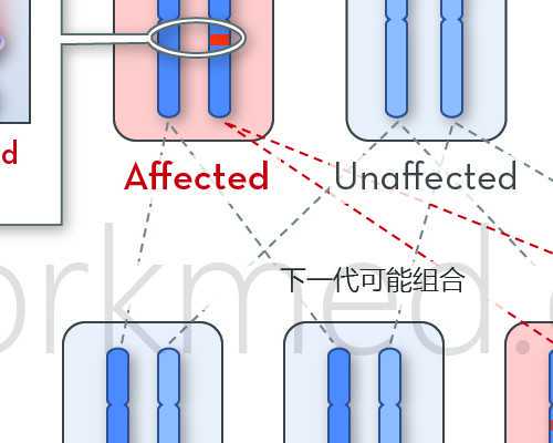 广州哪家代孕公司专业,婴儿试管详细步骤:广州治疗输卵管堵塞价格