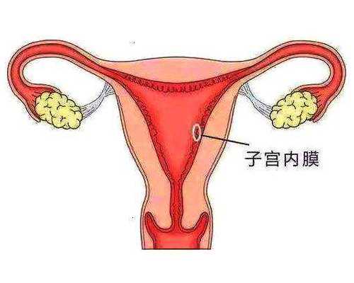 广州供卵试管受骗经历,广州有多少家供卵机构-代生男孩花费
