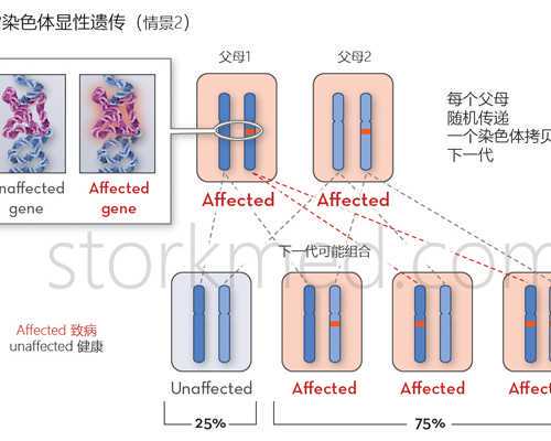 广州供卵试管婴儿中介,广州供卵首来十月幸孕助孕-代生的医院