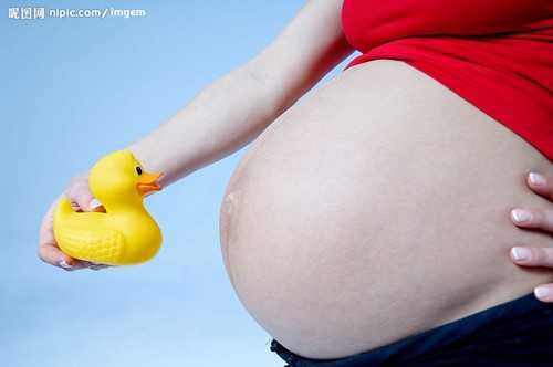 海口供卵怎么做_上海三代试管婴儿要经历哪些流程？