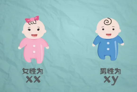 广州助孕供卵中心 广州有哪些医院可以做第三代试管婴儿? ‘怀孕初期b超上显