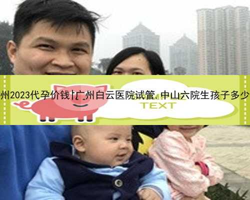 广州2023代孕价钱|广州白云医院试管,中山六院生孩子多少钱
