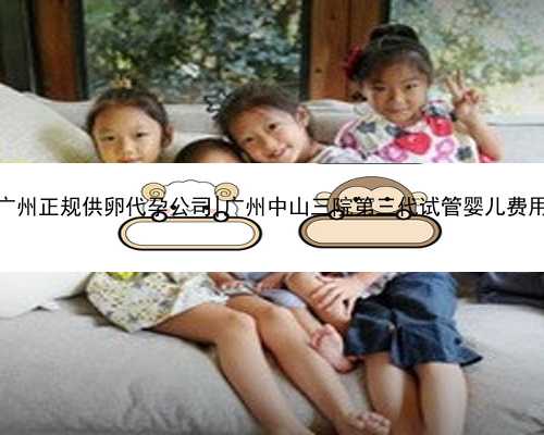 广州正规供卵代孕公司|广州中山三院第三代试管婴儿费用